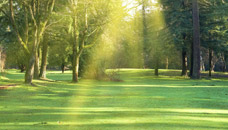 Stewart & Calhoun Funeral Home